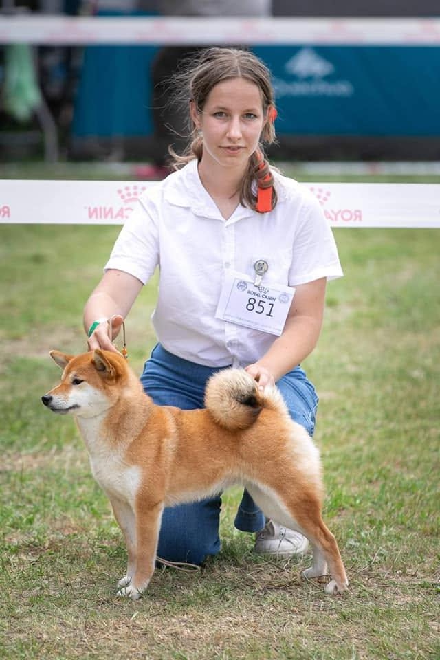Shira