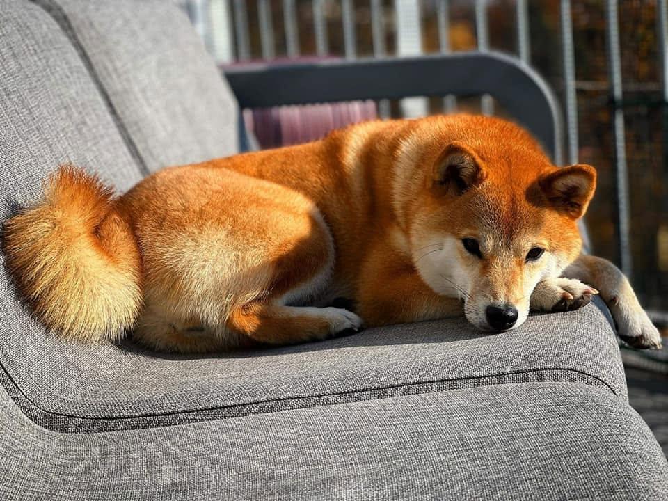 A young Tara enjoying a sunny day.