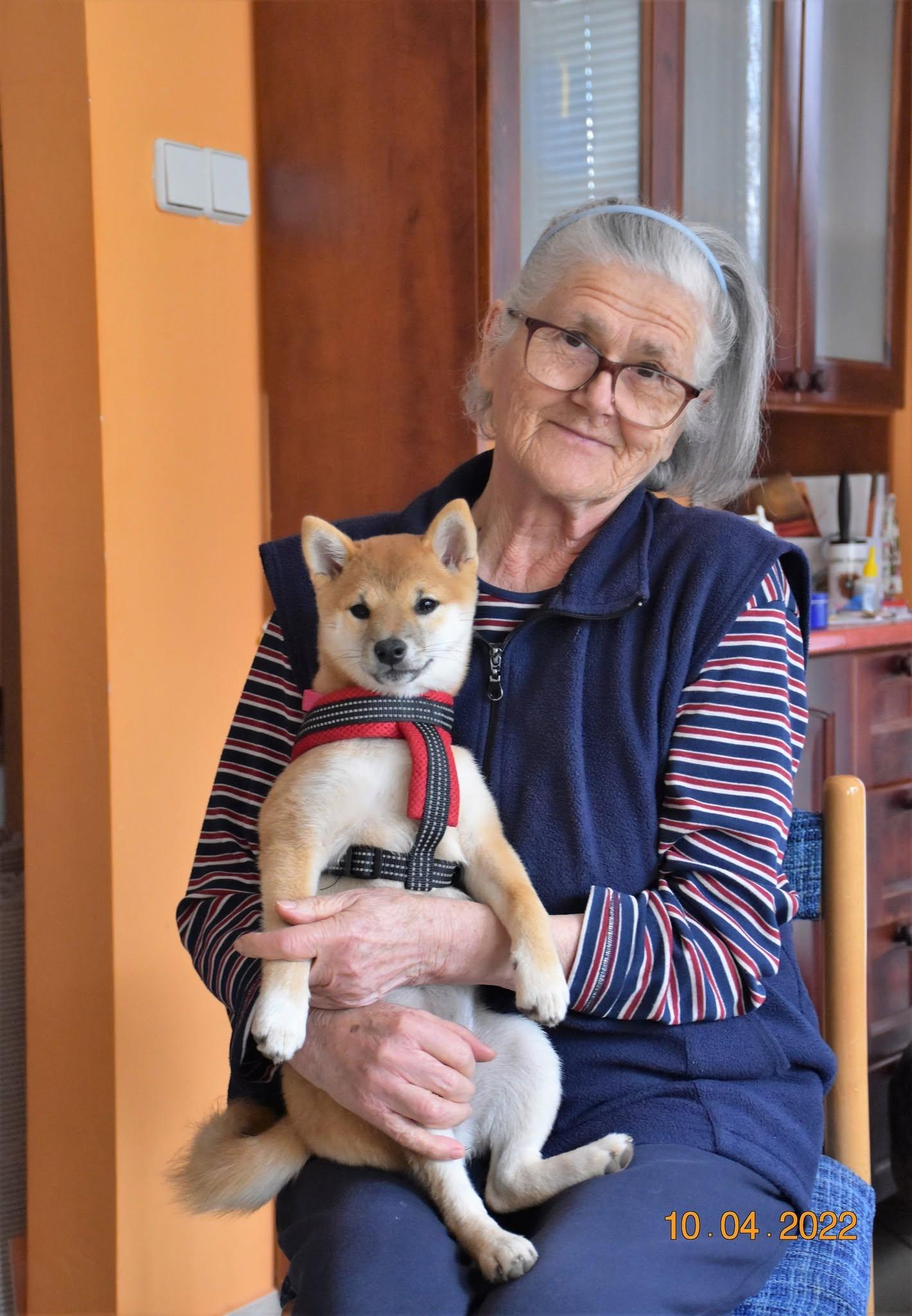 Tara enjoying a gentle moment with Grandma. Positive experiences with people of different ages help our puppies develop confidence, trust, and a calm, friendly temperament.